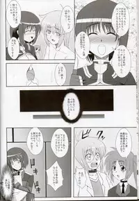 (C79) [Take Out (Zeros)] XX Shichau Series Soushuuhen (Mahou Shoujo Lyrical Nanoha)