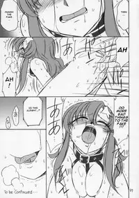 (C68) [EINSATZ GRUPPE (Charlie Nishinaka)] PRISONER 6 The song of the fake (Gundam SEED Destiny) [English] [ReMoe] [Incomplete]