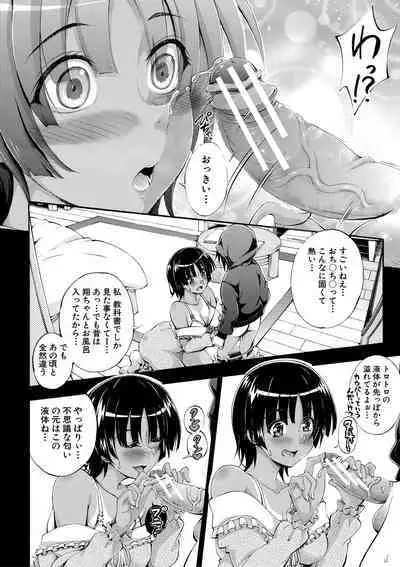 Onee-chan ga Doppelganger ni Netorarechau!