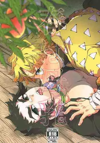 (同人誌) [ナギヤマスギ (那岐山)] ヒナギク痴漢電車3 [DL版] [D0008822] (ハヤテのごとく!)(COMIC1☆4)