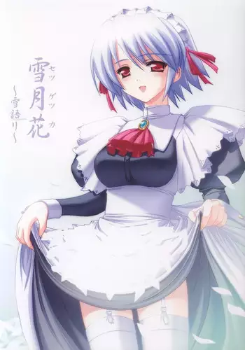 (C62) [Knights (Kishi Nisen)] Setsugetsuka ? Yukigatari ? (Suigetsu)