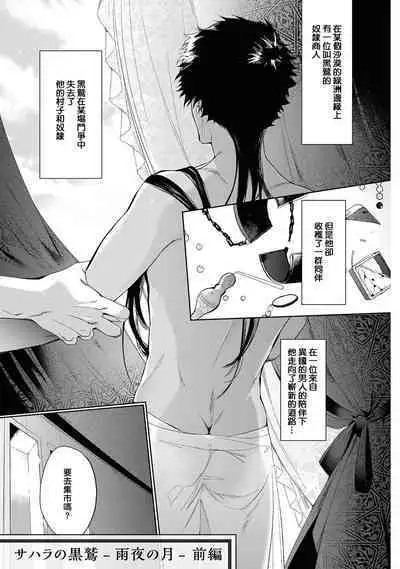 Sahara no Kuro Washi 2 side Alkil | 撒哈拉的黑鹫2 | 雨夜的月亮 前篇+后篇 | 第一夜 - 第四夜