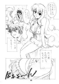 (C72) [Ikibata 49ers (Nishiki Yoshimune)] Zero Revo 2 (Zero no Tsukaima)