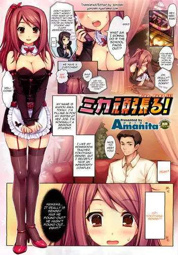 お姫様のおやつ