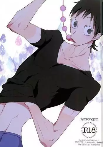 Hydrangea
