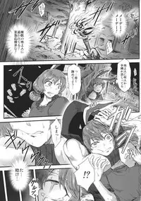 (Kouroumu 11) [Torano Ori (Toritora)] Sennyuu ni Shippai Shimashita. (Touhou Project)