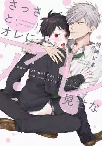 Goshintai wa Tebanasenai
