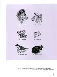 図説エロスの世界 エロティカ幻想編