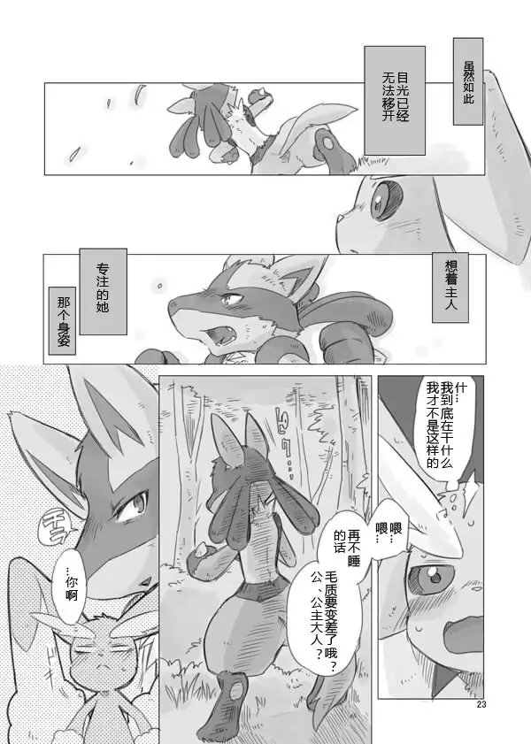 Love and Fight