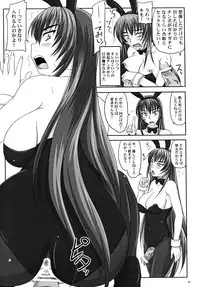 (A3) [Nozarashi (Nozarashi Satoru)] Misshitsu de Kyoubou Bunny Hime to Futarikiri.