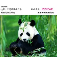 [Yamada Gogogo] ERONA Orc no Inmon ni Okasareta Onna Kishi no Matsuro ch.6 [Chinese] [ssps漢化]