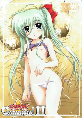 (SC36) [TIMTIM MACHINE (Kazuma G-Version)] TIMTIM MACHINE SPECIAL Gurren to Nanoha Mishuuroku - Nanoha no H Nano (Mahou Shoujo Lyrical Nanoha StrikerS, Zero no Tsukaima)