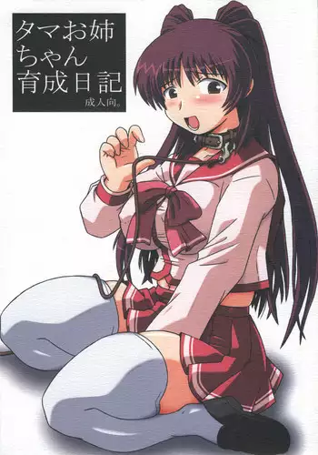 (C69) [Bottomress Pit, Gekka Bijin, Kenro Koubo (Various)] Totsugeki Konomix (ToHeart 2)
