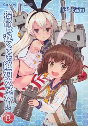 (C85) [Byousatsu Tanukidan (Saeki Tatsuya)] Teitoku wa Osoku temo Zettai Daijoubu!! (Kantai Collection -KanColle-)
