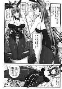 (A3) [Nozarashi (Nozarashi Satoru)] Misshitsu de Kyoubou Bunny Hime to Futarikiri.
