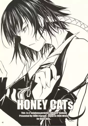 (C74) [Garyuh-Chitai (TANA)] Aki-Akane -ANOTHER DAY- (Bleach)