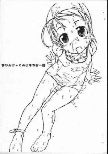 (Puniket 14) [Shirando (Shiran Takashi)] Shirando Punike Copy-shi SHIRANDO 2006 (Various)