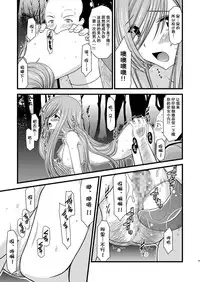 [valssu (Charu)] Melon ga Chou Shindou! R Soushuuhen I (Tales of the Abyss) [Chinese] [流星汉化] [Digital]