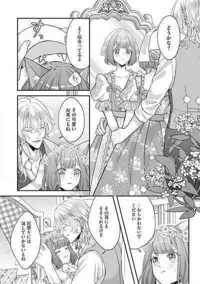 Nene to Ikoku no Mahoutsukai Isekai ni Shoukan Sareta to Omottara, Naze ka Koneko to shite Aigan Saretemasu 1-5