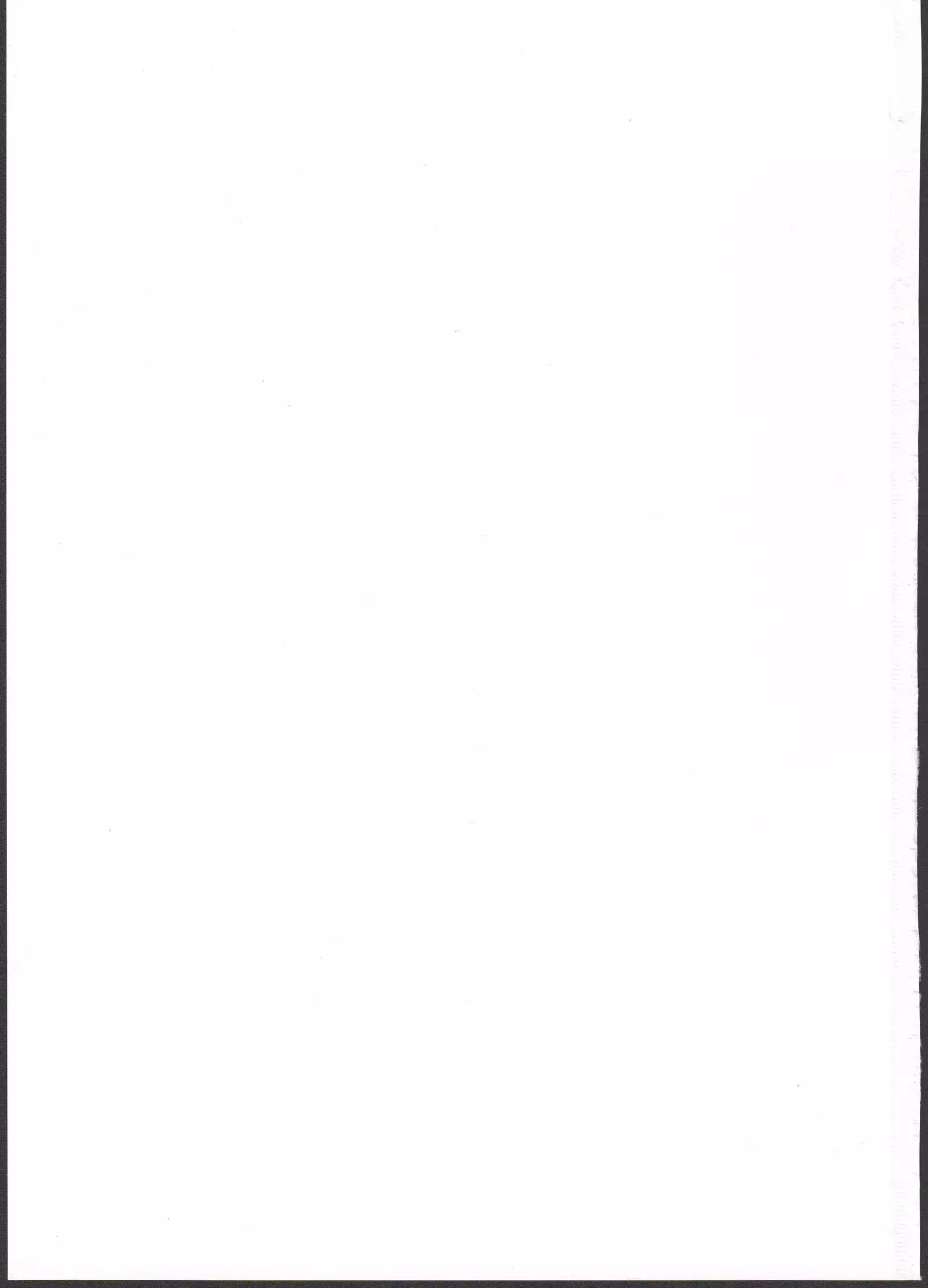 えーりんがコワイ