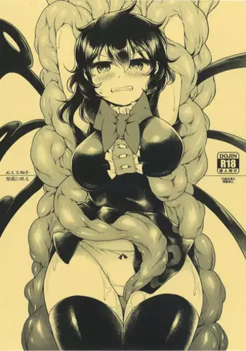 (Reitaisai 13) [Hekiga ni Nemuru (Satozaki)] Nue-chan vs Shoutai Fumei no Ojisan (Touhou Project)