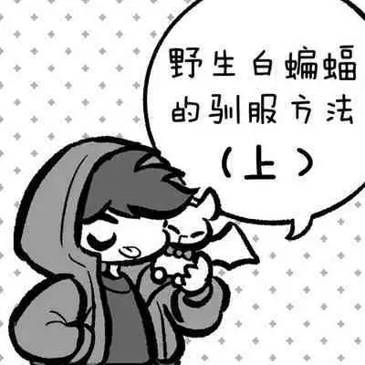黎明夜船