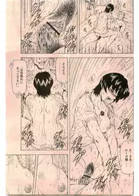 COMIC Papipo 2005-06