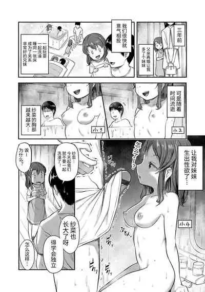 [Hayake] Nani Suru no!? Onii-chan!! | 欧尼酱!?你在干什么!! + 附赠DLsite限定特典 [Chinese] [Digital]