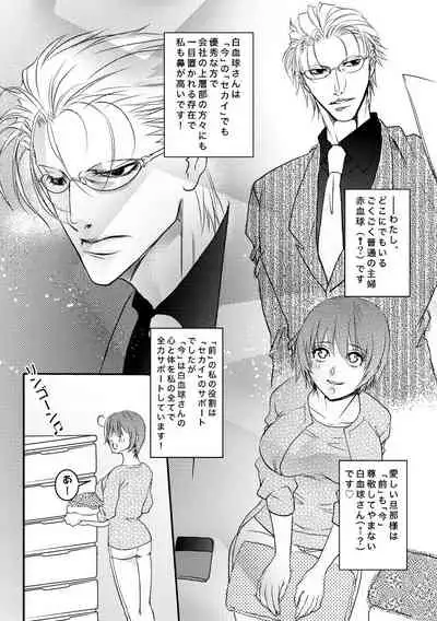 白赤夫婦現パロ