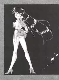 (C48) [豺狼出版 (J・さいろー)] 燕雀 Volume 1  (エルフ・１７、魔法騎士レイアース)