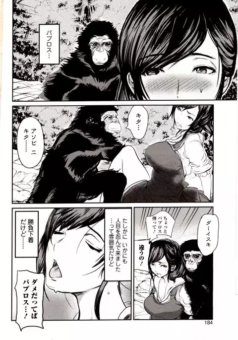 Kemono DIRECT 4
