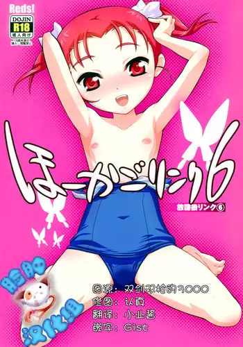 (C88) [Reds! (Aotsuki Hirotada)] Houkago Link 6 (Accel World) [Chinese] [脸肿汉化组]
