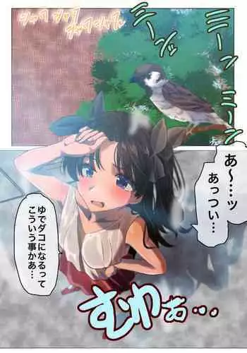[Yanagie Terasu] ーソーンとシルヴァー (グランブルーファンタジー)