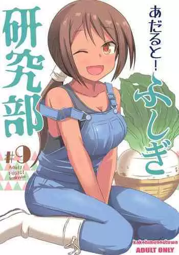 わたしの妖精さん