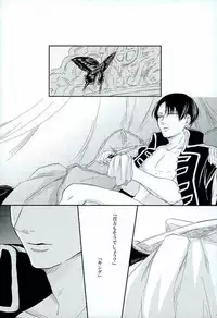 (Dai-5-Kai Kabegai Chousa Haku) [GD (Fushiki)] Kininaru Futari no Yaritai Koto dake (Shingeki no Kyojin)