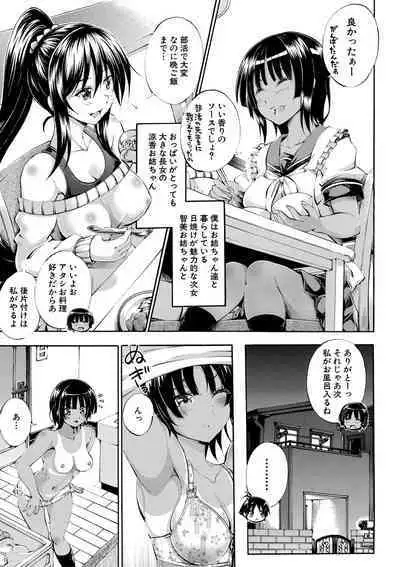 Onee-chan ga Doppelganger ni Netorarechau!