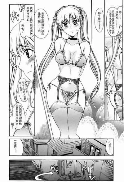 Shiawase no Katachi | 幸福的方式