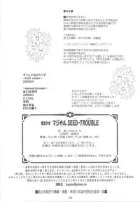 (C76) [PLUM (Kanna)] Mahou Shoujo Magical SEED TROUBLE (Mahou Shoujo Lyrical Nanoha)