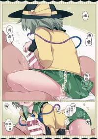 (C90) [Sunset Beach (Hammer)] Koishi-chan ga Pet o Korashimechau Ohanashi (Touhou Project) [Chinese] [靴下汉化组]