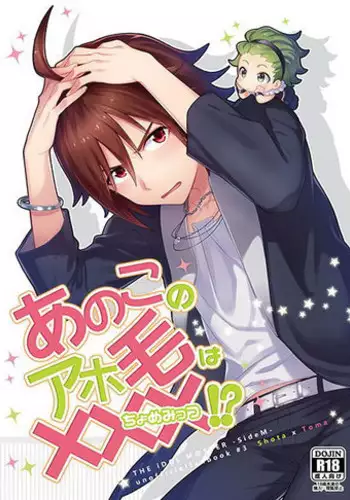 (SC2017 Winter) [Stemun (stem)] Classmate no Majime Iinchou wa Kakure Kurogal