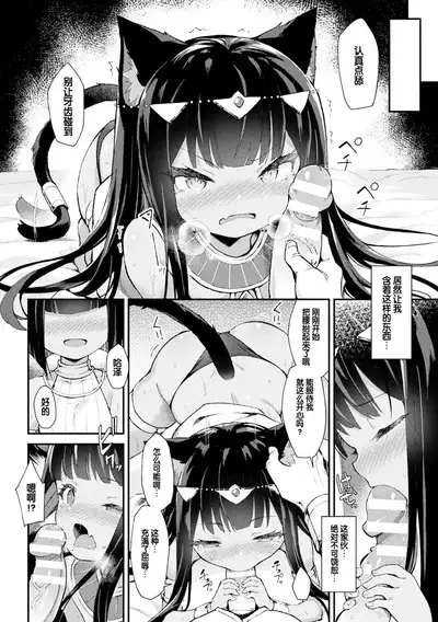 Nekohime Seisai Amira