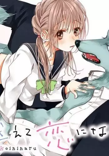 数百年分の×××