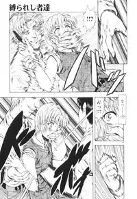 [Mukai Masayoshi] Guilty Sacrifice [Kanketsuhen]