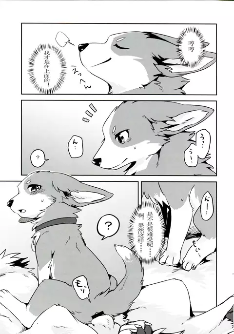 1DK, Bokura to. | 一居室下的我们