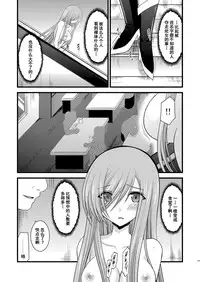 [valssu (Charu)] Melon ga Chou Shindou! R Soushuuhen I (Tales of the Abyss) [Chinese] [流星汉化] [Digital]