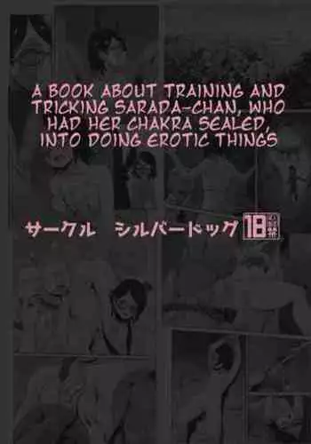 Sarada Booty Problem