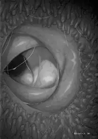 (C95) [Hermit9 (Various)] Anal Vore Goudou [Chinese] [臭鼬娘漢化組]