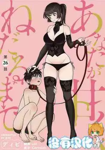 [Dhibi] Anata ga Toroke Ochiru made [Chinese] [沒有漢化] [Digital]