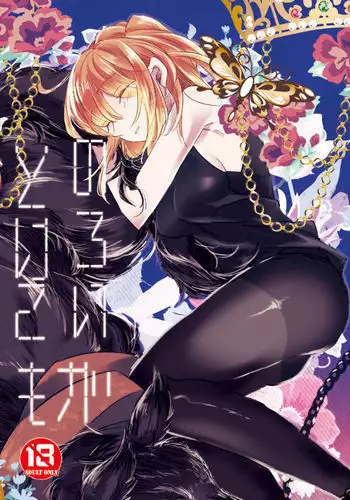 たまや 二十一発目