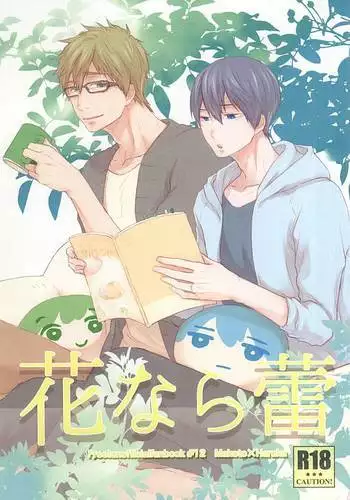 [にゃんころもちもち 秋季例大祭5新刊]本での知識しか無かったパチュリーは知的好奇心を満たすために少年を呼んでセックスの勉強♡